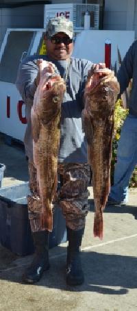 Whale Watching Depoe Bay TWO BIG LINGS